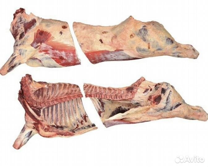 Охлажденная говядина оптом