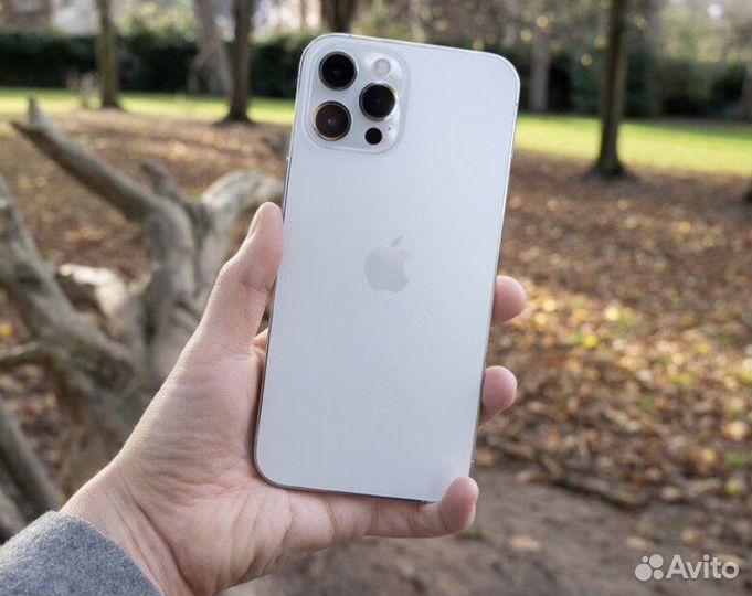 iPhone 13 Pro Max, 1 ТБ