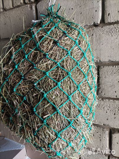 Рептух для козлят, кур