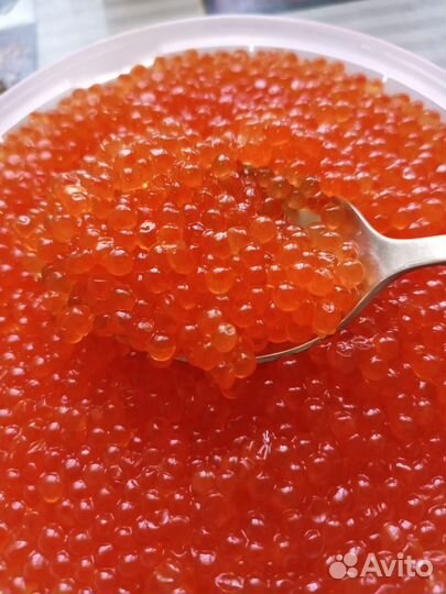 Икра Лосося