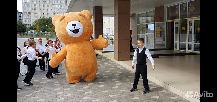 Белый мишка на поздравление,панда и тэдди