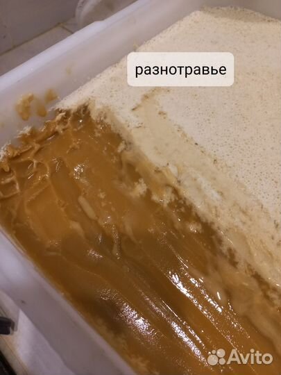 Алтайский Мед