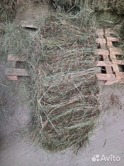Сено В брикетах