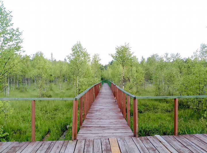 Участок 20 сот. (СНТ, ДНП)