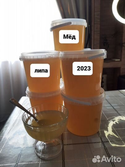 Мед/Мёд Липовый Дальневосточный 2023