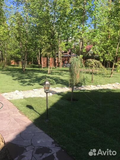 Рулонные газоны