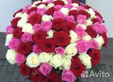 25 роз розы с доставкой Букет роз 51 роза розочки