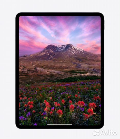 iPad Pro 11 2024 M4 WiFi 2 TB Space Black