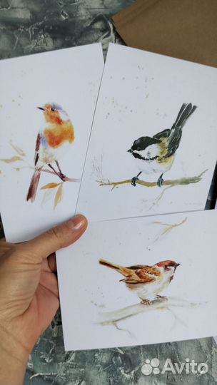 Открытки дизайнерские