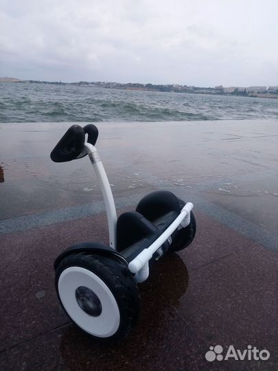 Защита, подножка, переноска для Ninebot Mini и Pro