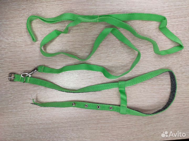 Шлейка для кошки