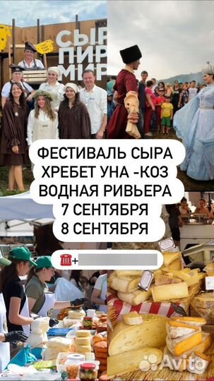 Туры Фестиваль сыра