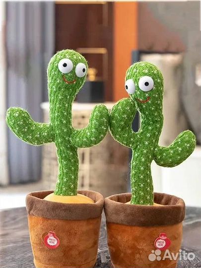 Поющий Кактус