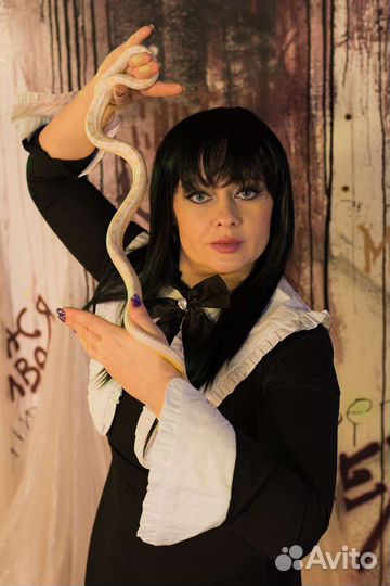 Анимация квест Венсдей аддамс Wednesday Уэнздей