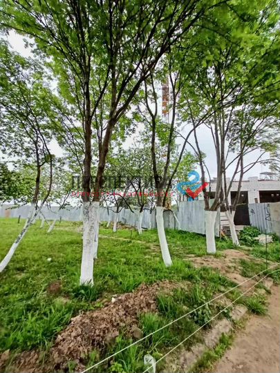 2-к. квартира, 55,3 м², 2/7 эт.