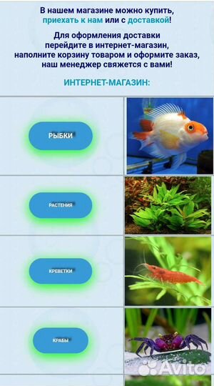 Аквариумные рыбки улитки растения креветки магазин