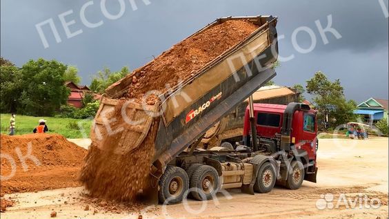 Мытый песок тараканом