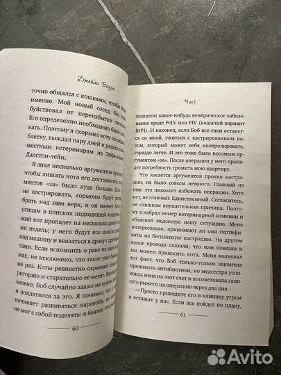 Уличный кот по имени боб