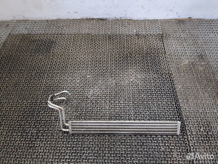 Радиатор масляный Volkswagen Touareg, 2004