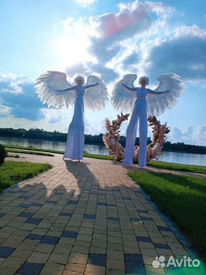 Ходулисты.Танцоры.Аниматоры.Шоу 