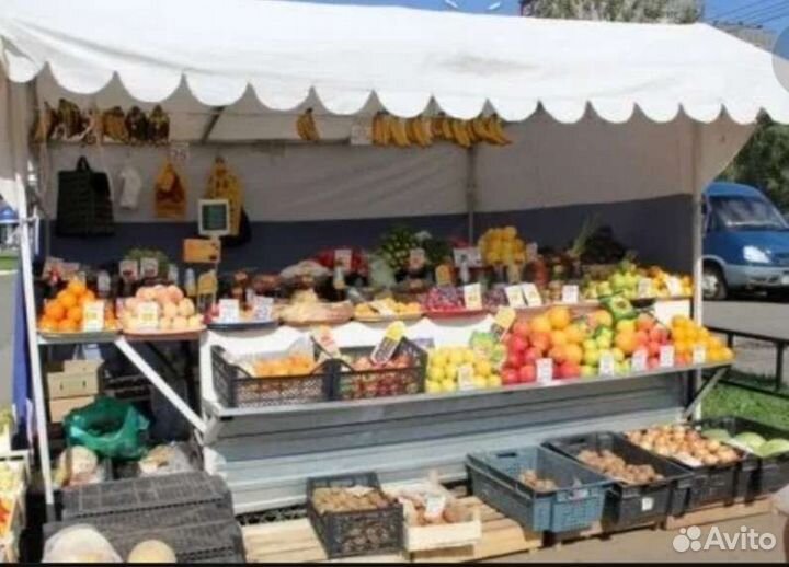 Ёлочный базар.Получения разрешения на торговлю