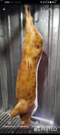 Мясо свинина