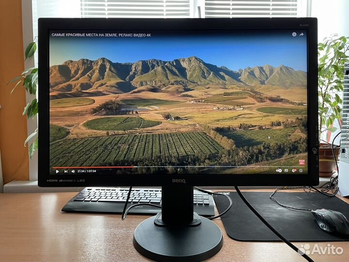 Монитор Benq 24 дюйма bl2405ht