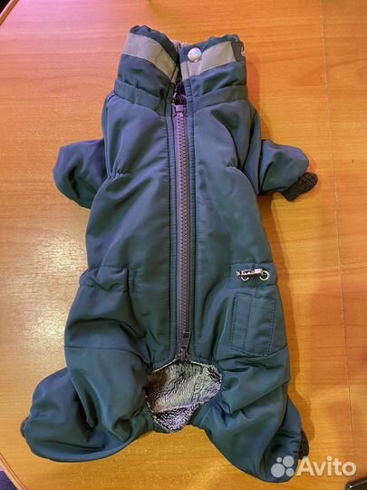 Комбинезон для маленькой собаки мальчик