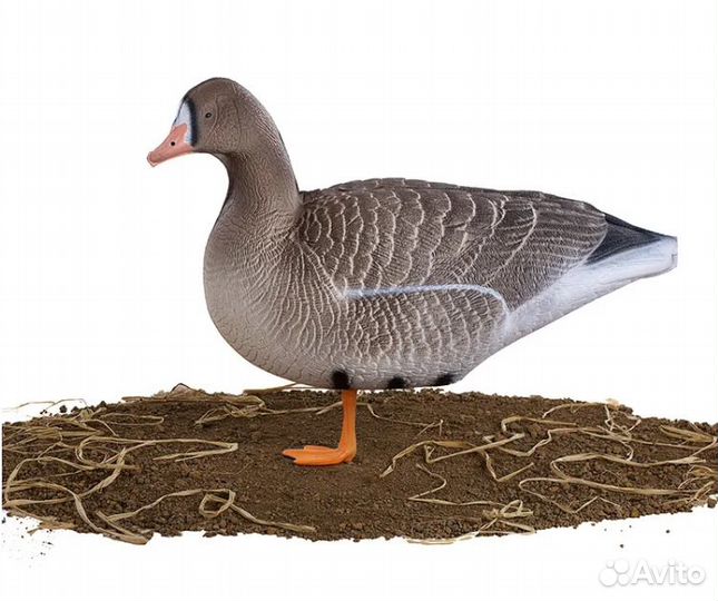 Комплект чучел белолобого гуся Buck Decoys, 10 шту