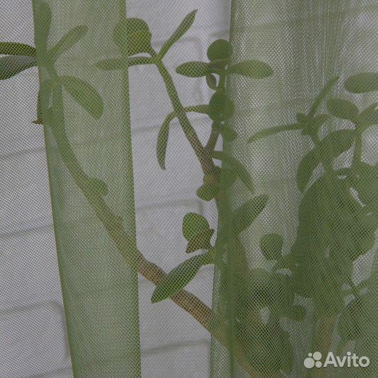 Тюль Ирис зелёный готовый на окна пошив