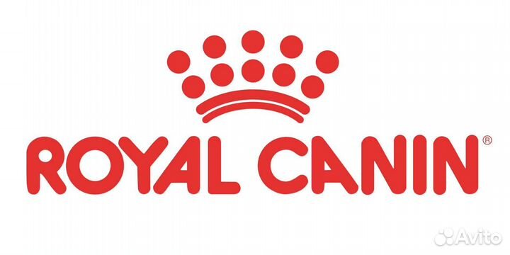 Сухой корм для собак