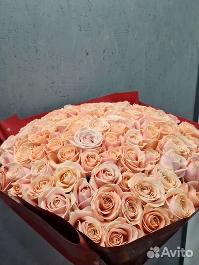 Букеты 101 розы доставка цветы