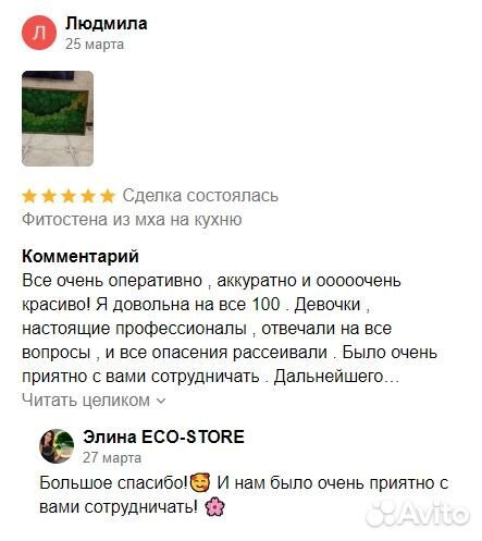 Панно со мхом и растениями