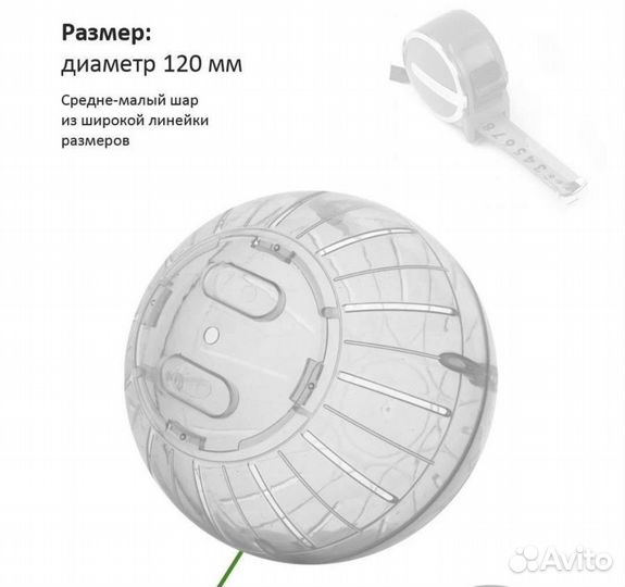 Беговой шар для джунгарского хомяка