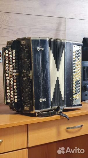 Баян тульский