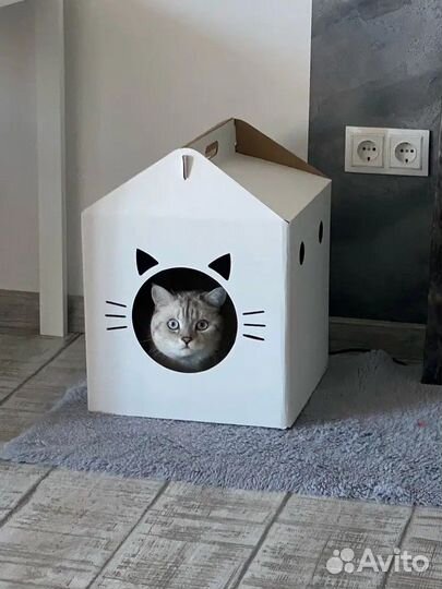 Домик для кошки картонный (цвет в асс.)