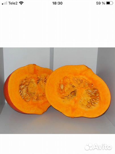 Тыква оранжевая,Матильда и кабачки