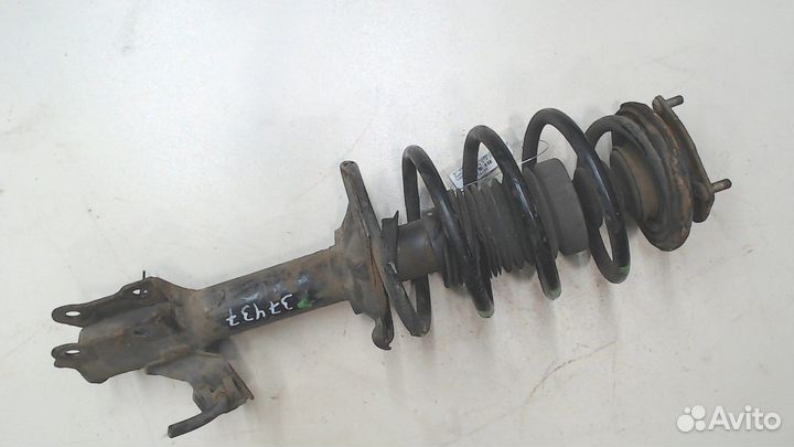 Амортизатор подвески Nissan Almera N16, 2005