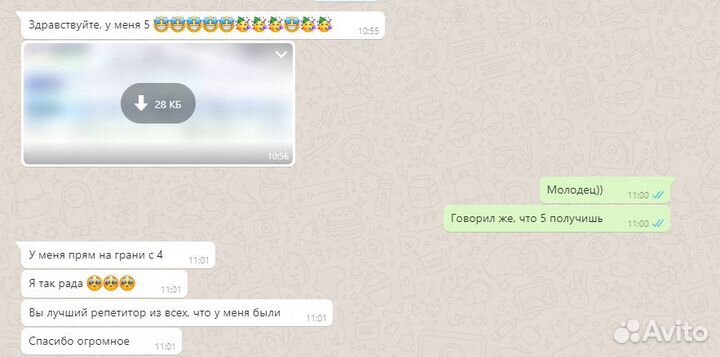 Репетитор по физике,математике,русскому языку