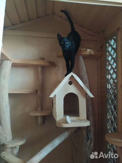 Клетка домик для кролика, грызунов, шиншилл, кошки