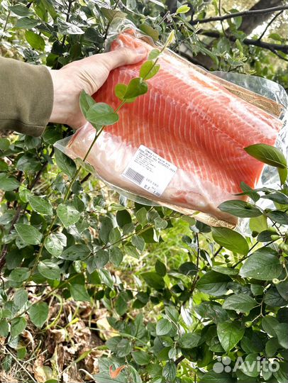 Семга слабосоленая