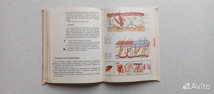 Естествознание.человек. 9 кл. 1990 (в.сивоглазов)