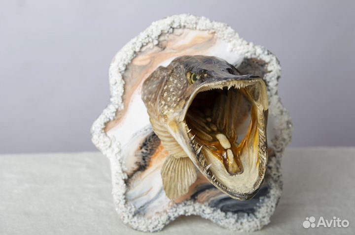 Чучело головы щуки