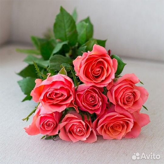 Цветы Розы Букет 25 35 51 101 роза Эквадор