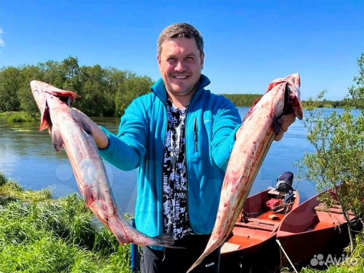 Рыболовные туры на Камчатку