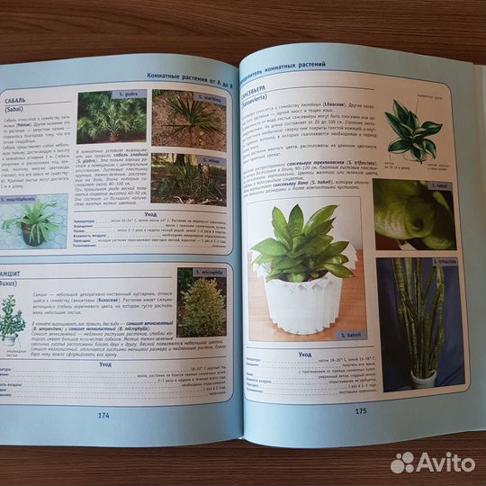 Книга Комнатные растения в вашем доме