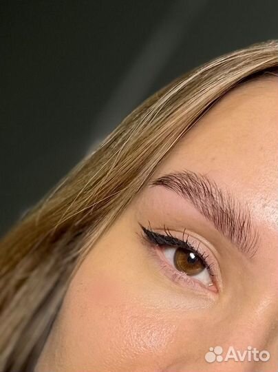 Мастер бровист