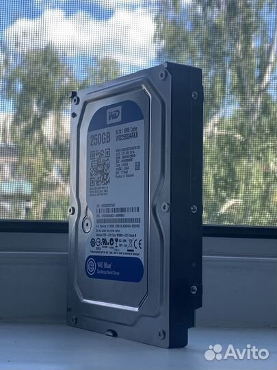 WD Blue 250Gb Жесткий диск