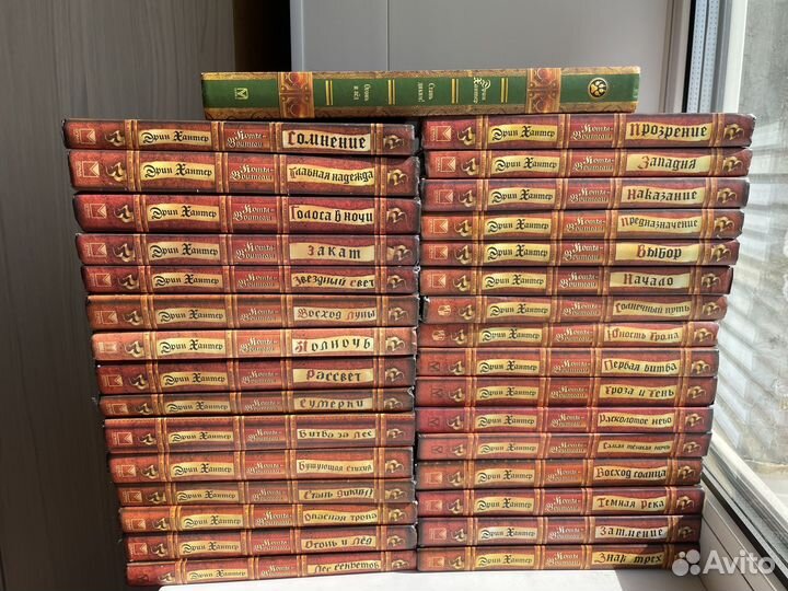 Коты воители