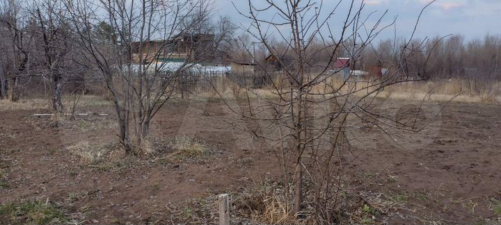 Участок 18 сот. (СНТ, ДНП)